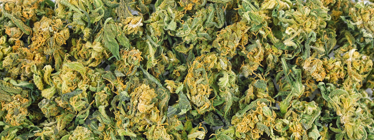 criminal defense marijuana in arizona
