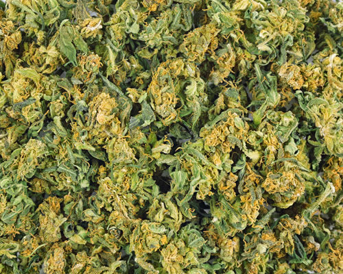criminal defense marijuana in arizona